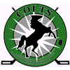 Click here to visit the Stockton Colts web site
