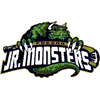 Click here to visit the Fresno Jr. Falcons web site