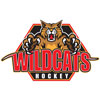 Wildcats Presidents Day Open