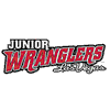 >Click here to visit the Las Vegas Ice Cats web site