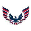 DYHA Firebirds