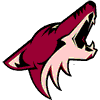 Click here to visit the Phoenix Jr. Coyotes web site