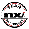 Team nXi