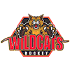 Anaheim Wildcats