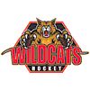 Click here to visit the Wildcats Hockey web site